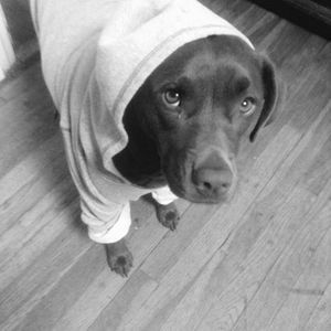 Meet your Posher, Jade